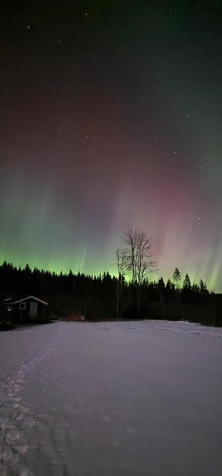 Nygard Cabins - Brandnew, Fully Equipped Home In Nature Sunne Eksteriør bilde