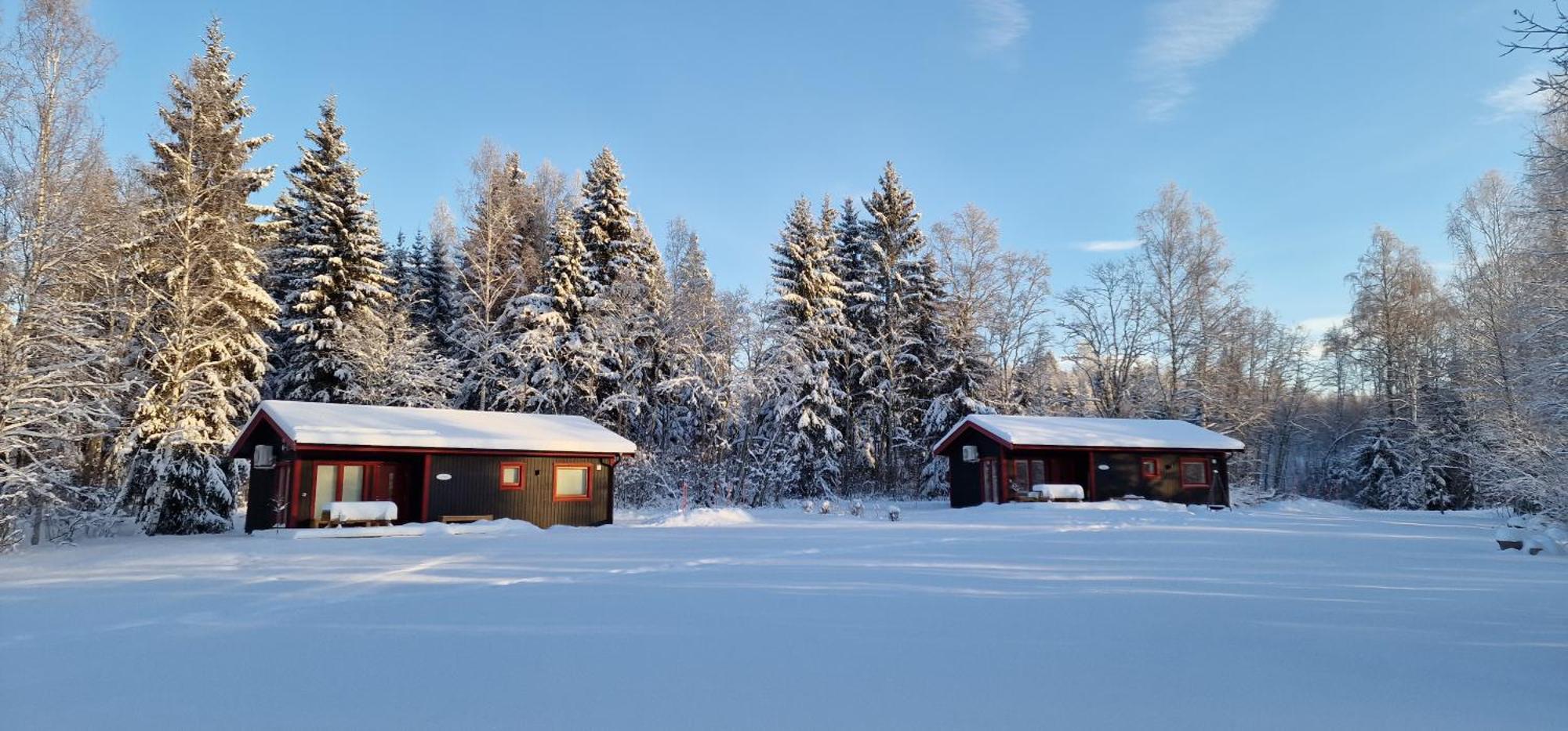 Nygard Cabins - Brandnew, Fully Equipped Home In Nature Sunne Eksteriør bilde