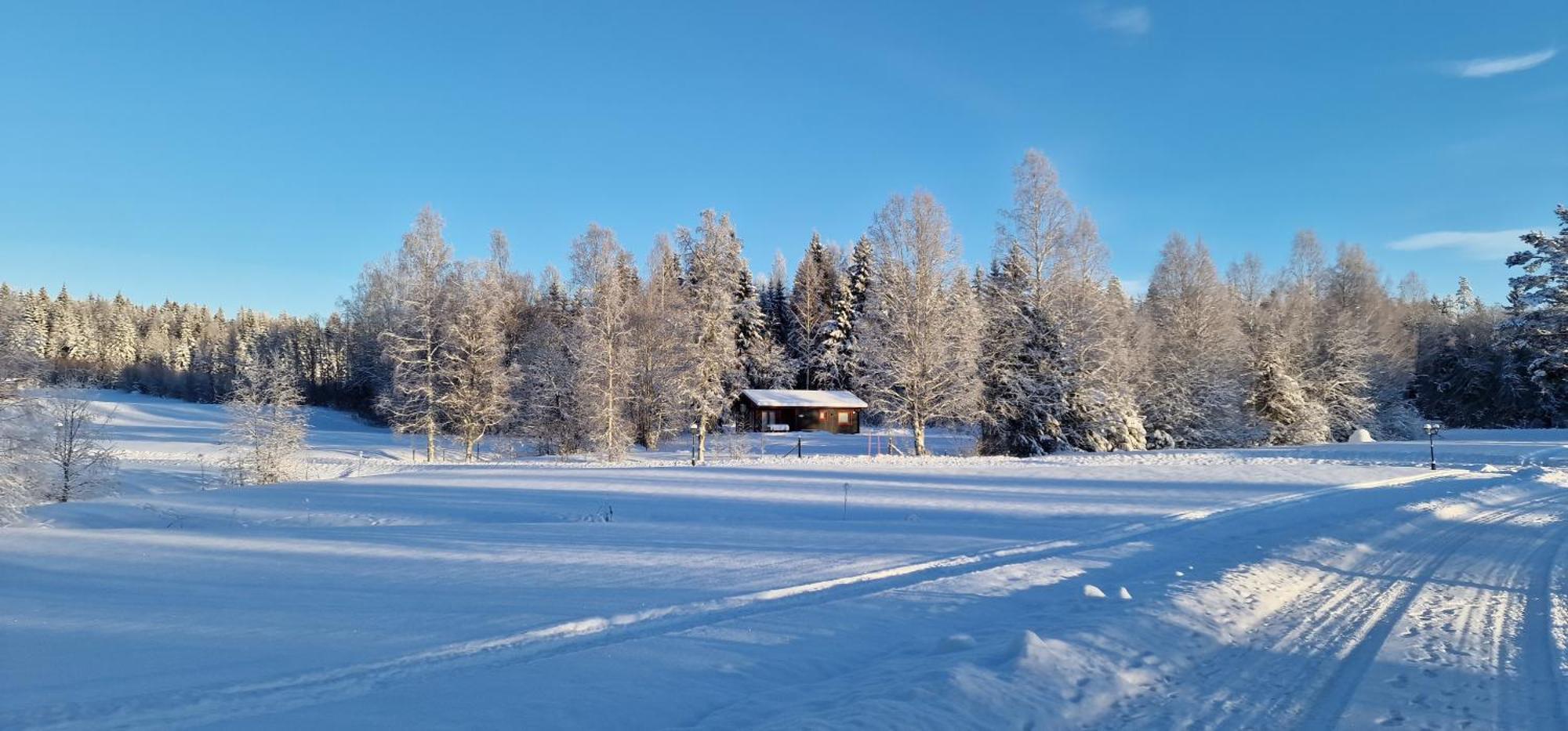Nygard Cabins - Brandnew, Fully Equipped Home In Nature Sunne Eksteriør bilde